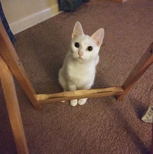 Meet your Posher, Angie